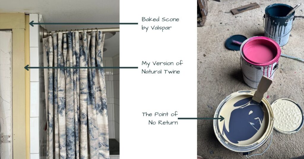 Bathroom Remodel paint color