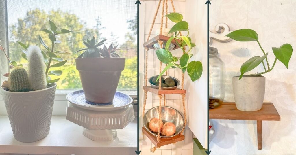 Plants-12 Cozy Kitchen Decor Ideas